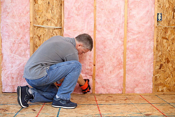 Best Wall Insulation Installation  in Hurricane, WV